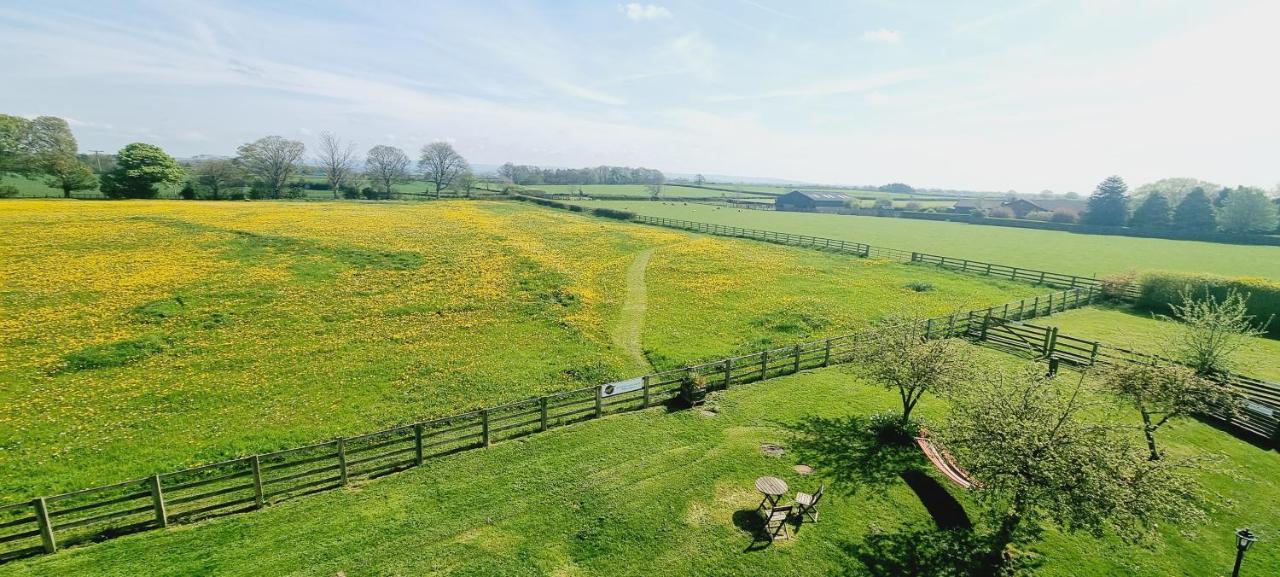 Osprey Meadow Holiday Cottages Bedale Kültér fotó